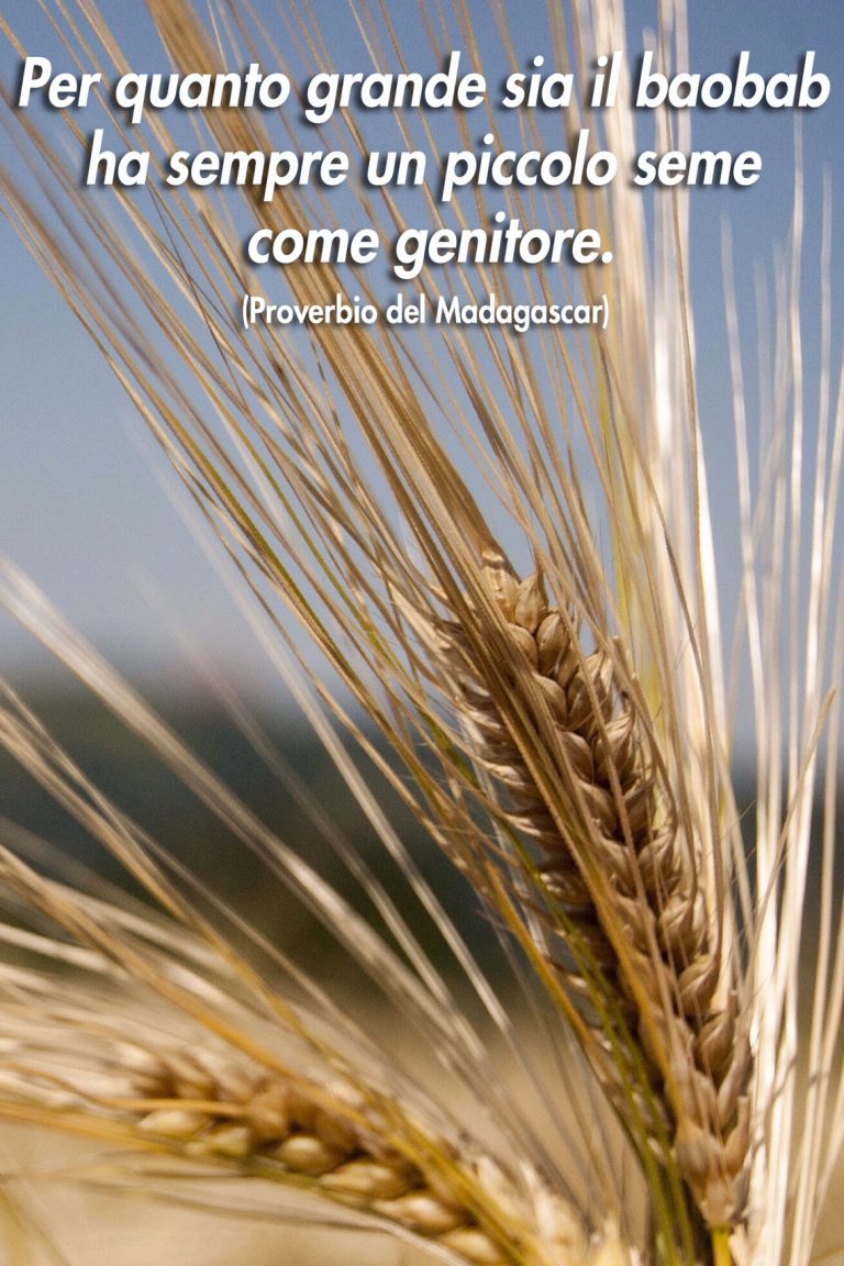 Si Raccoglie Ciò Che Si Semina Frasi